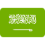 Saudi Arabia flag